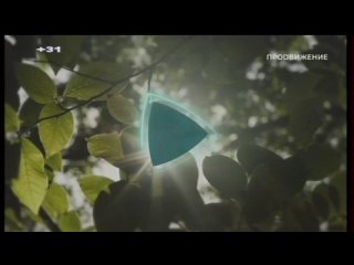 2021, regional block of programs on the promotion channel, tv-most tv company (kemerovo), 18 08 2021