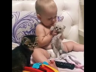 loves kittens